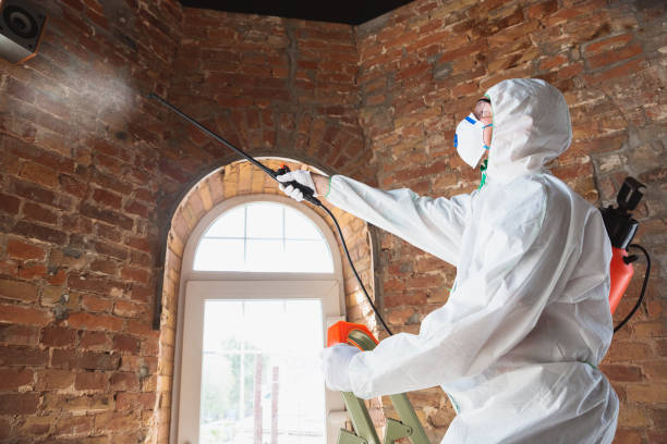 Best Mold removal after water damage  in Argyle, TX